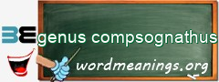 WordMeaning blackboard for genus compsognathus